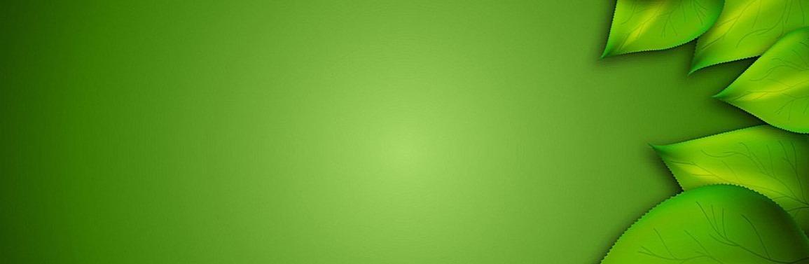 slider03