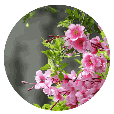 بهار 1404 در کالامان