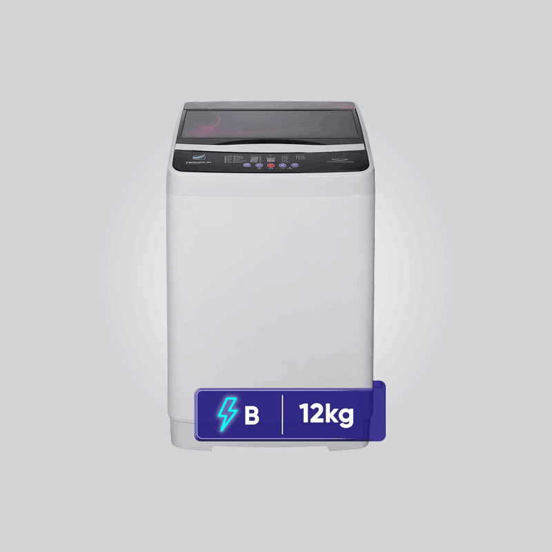 ماشین لباسشویی تمام اتوماتیک 12.5 کیلویی فریدولین مدل SWF125G